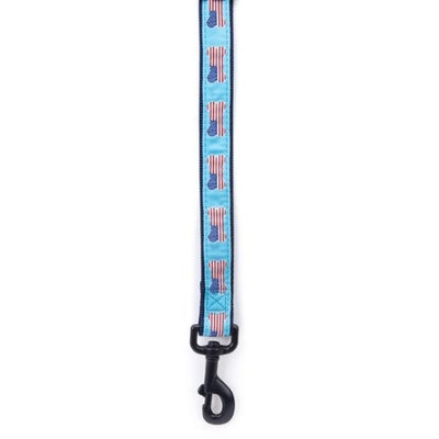 Casual Canine Nylon All American Pup Dog Lead, 6-Feet, Blue