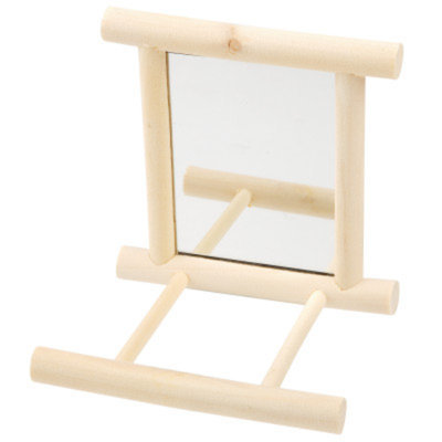 All Living ThingsA Bird Perch & Mirror