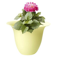 Bloem Living, LLC Bloem 12