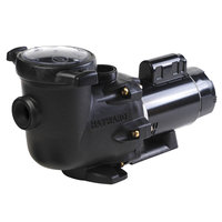 Clearon Corp. Hayward TriStar 2 HP Pool Pump - CLEARON CORP.