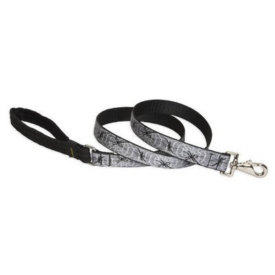 Lupine 1 Inch Web Master Dog Lead