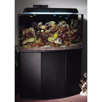 Aquatic Fundamentals Black 16 Upright Bowfront Aquarium Stand