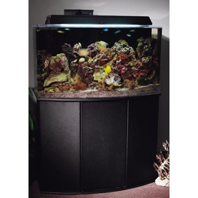 Aquatic Fundamentals Black 16 Upright Bowfront Aquarium Stand