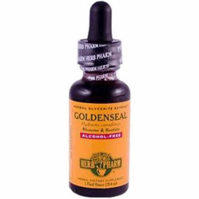 Herb Pharm Alcohol-Free Goldenseal Glycerite, 1 FL OZ