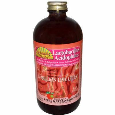 Dynamic Health Liquid Acidophilus, Apple Strawberry, 16 OZ