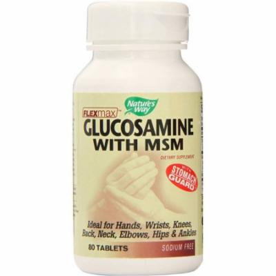 Nature's Way Glucosamine Sulfate & MSM - with Stomach Guard Capsules, 80 CT