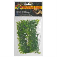 Zoo Med Laboratories SZMBU13 Natural Bush Malaysian Fern