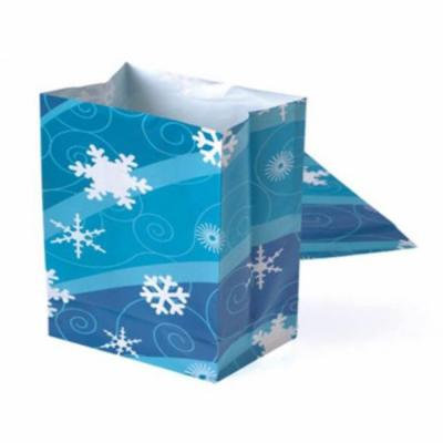 DDI 1905543 Winter Season Paper Bags, 12 Piece