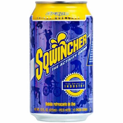 Sqwincher 12 oz Ready to Drink Can, Grape 100102-GR (Case of 24)