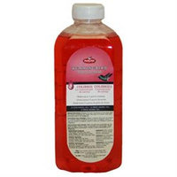 Woodstream Hummingbird Perky Pet 32 Oz Hummingbird Nectar Concentrate