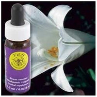 Easter Lily Dropper, 0.25 oz, Flower Essence Services