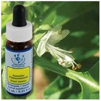 Flower Essence Basil Dropper 0.25 fl oz