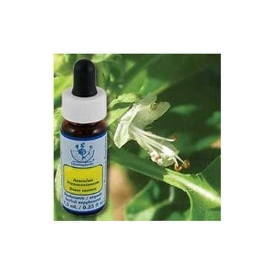 Flower Essence Basil Dropper 0.25 fl oz
