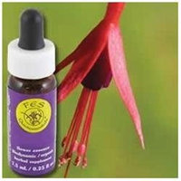 Flower Essence Fuchsia Dropper - 0.25 fl oz