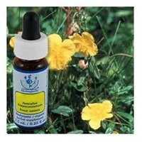 Flower Essence Services - Healing Herbs Dropper Rock Rose - 0.25 oz.