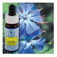 Flower Essence Services - Healing Herbs Dropper Cerato - 0.25 oz.
