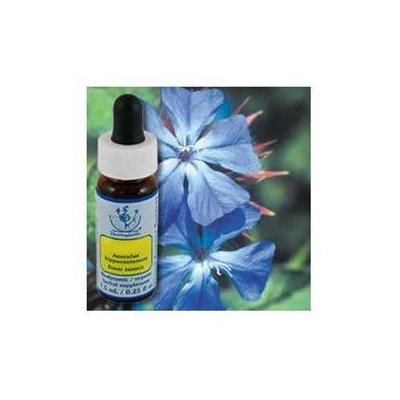 Flower Essence Services - Healing Herbs Dropper Cerato - 0.25 oz.