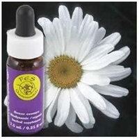 Flower Essence Services - Shasta Daisy Flower Essence - 0.25 oz.