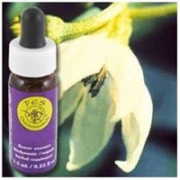 Flower Essence Cayenne Dropper - 0.25 fl oz