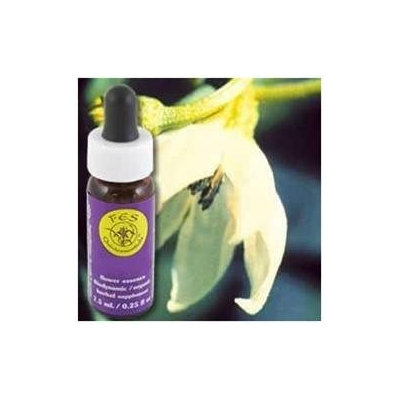 Flower Essence Cayenne Dropper - 0.25 fl oz