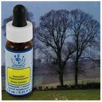 Flower Essence Services - Healing Herbs Dropper Elm - 0.25 oz.