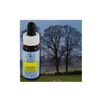 Flower Essence Services - Healing Herbs Dropper Elm - 0.25 oz.