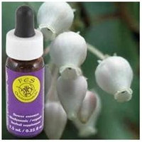 Flower Essence Services - Manzanita Flower Essence - 0.25 oz.
