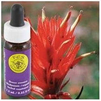 Flower Essence Indian Paintbrush Dropper - 0.25 fl oz