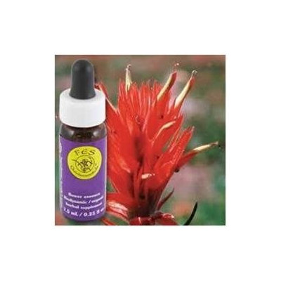 Flower Essence Indian Paintbrush Dropper - 0.25 fl oz