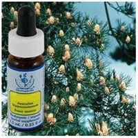 Flower Essence Services - Healing Herbs Dropper Pine - 0.25 oz. CLEARANCE PRICED