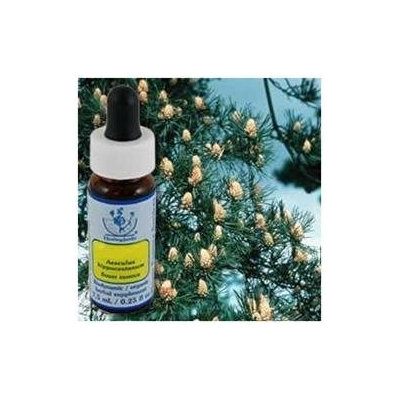 Flower Essence Services - Healing Herbs Dropper Pine - 0.25 oz. CLEARANCE PRICED