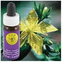 Flower Essence FES Quintessentials Saint John's Wort Supplement Dropper - 0.25 fl oz