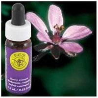 Flower Essence Filaree Dropper - 0.25 fl oz