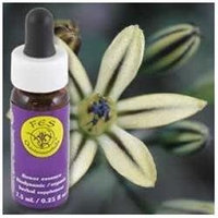 Pretty Face Dropper, 0.25 oz, Flower Essence Services