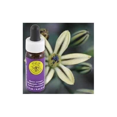 Pretty Face Dropper, 0.25 oz, Flower Essence Services