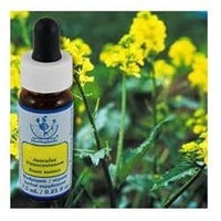 Flower Essence Services - Healing Herbs Dropper Mustard - 0.25 oz.