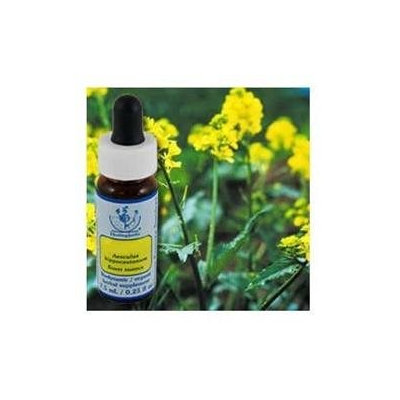 Flower Essence Services - Healing Herbs Dropper Mustard - 0.25 oz.
