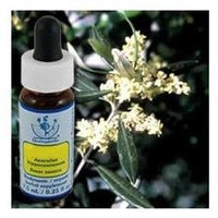 Flower Essence Services - Healing Herbs Dropper Olive - 0.25 oz.