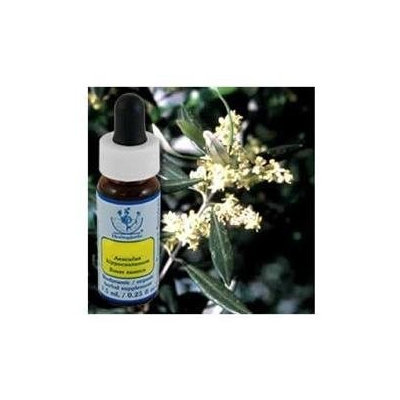 Flower Essence Services - Healing Herbs Dropper Olive - 0.25 oz.