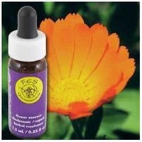 Flower Essence Calendula Dropper - 0.25 fl oz