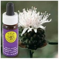 Flower Essence Mountain Pennyroyal Dropper - 0.25 fl oz