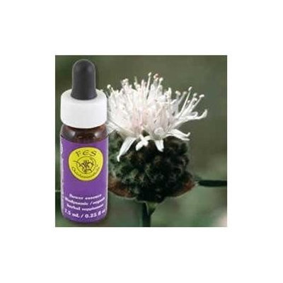 Flower Essence Mountain Pennyroyal Dropper - 0.25 fl oz