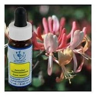 Flower Essence Services - Healing Herbs Dropper Honeysuckle - 0.25 oz.