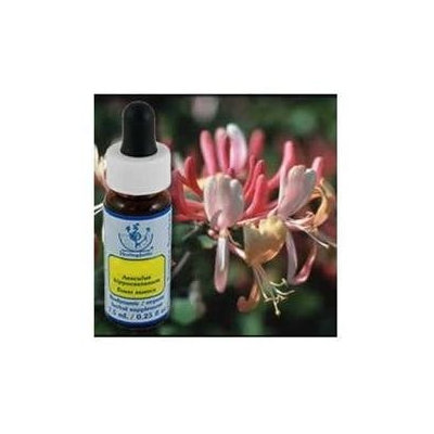 Flower Essence Services - Healing Herbs Dropper Honeysuckle - 0.25 oz.