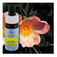 Flower Essence Services - Healing Herbs Dropper Wild Rose - 0.25 oz.