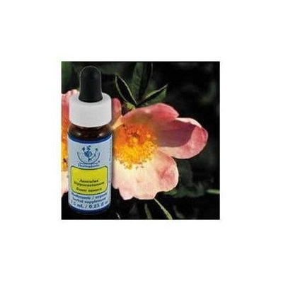 Flower Essence Services - Healing Herbs Dropper Wild Rose - 0.25 oz.
