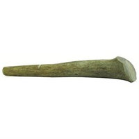 Best Buy Bones Natures Own Naturally Shed Elk Antler 8-9 -Monster Natural 90055