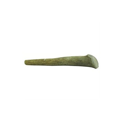 Best Buy Bones Natures Own Naturally Shed Elk Antler 8-9 -Monster Natural 90055