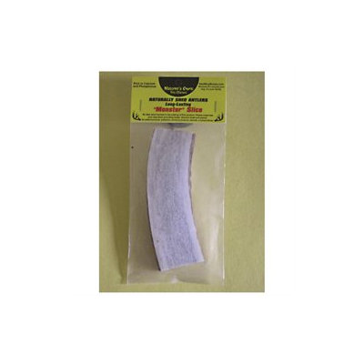 Best Buy Bones 6 Naturally Shed Sliced Antler Monster Size