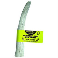 Best Buy Bones Deer Antler 7-9 Jumbo 7-9 Inch